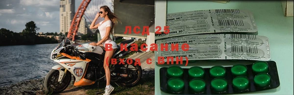 герыч Алексин