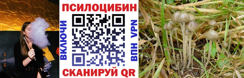 ОМГ ОМГ вход Красноуральск Псилоцибиновые грибы GOLDEN TEACHER